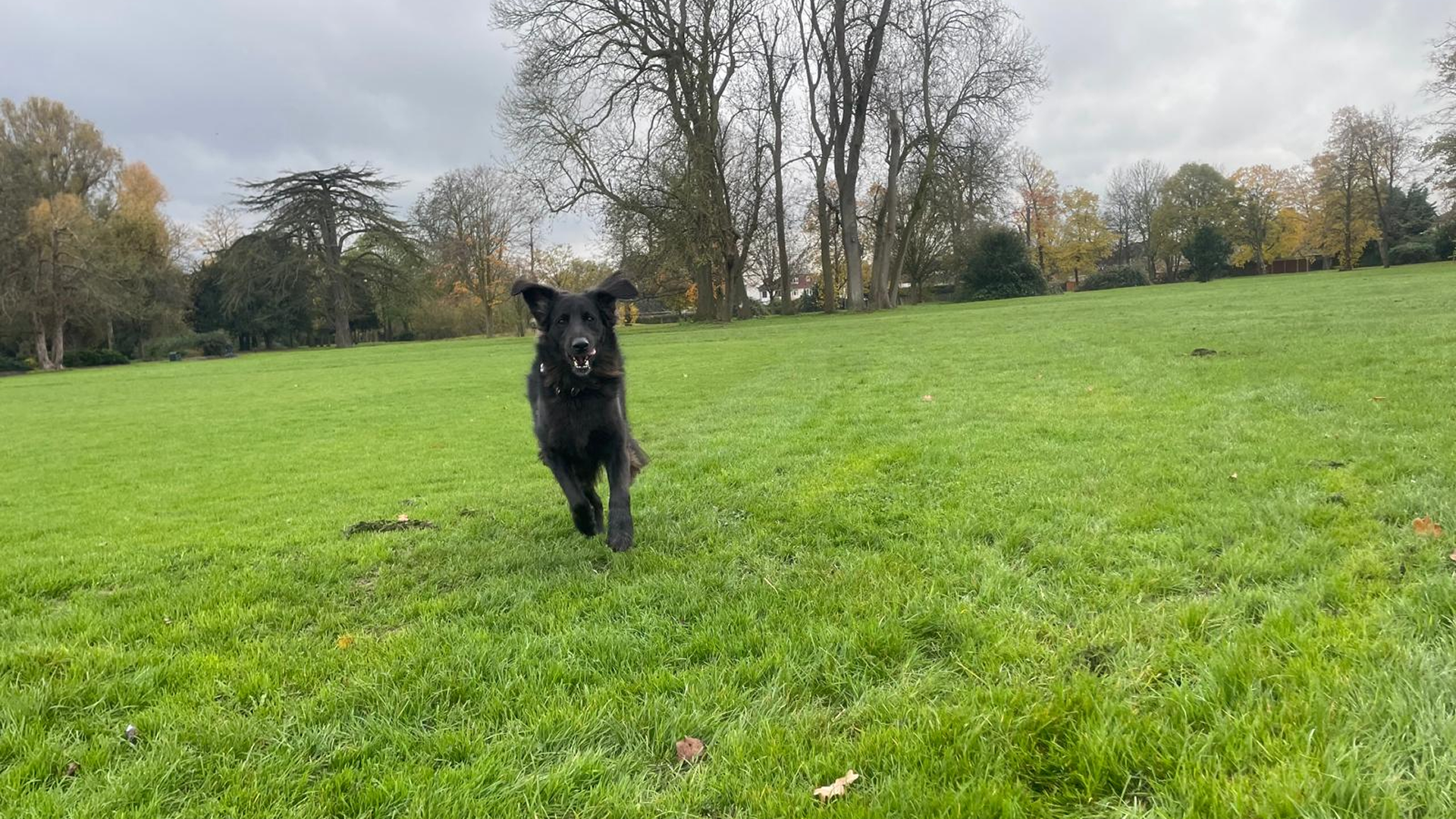 Structured Environment for Optimal Learning