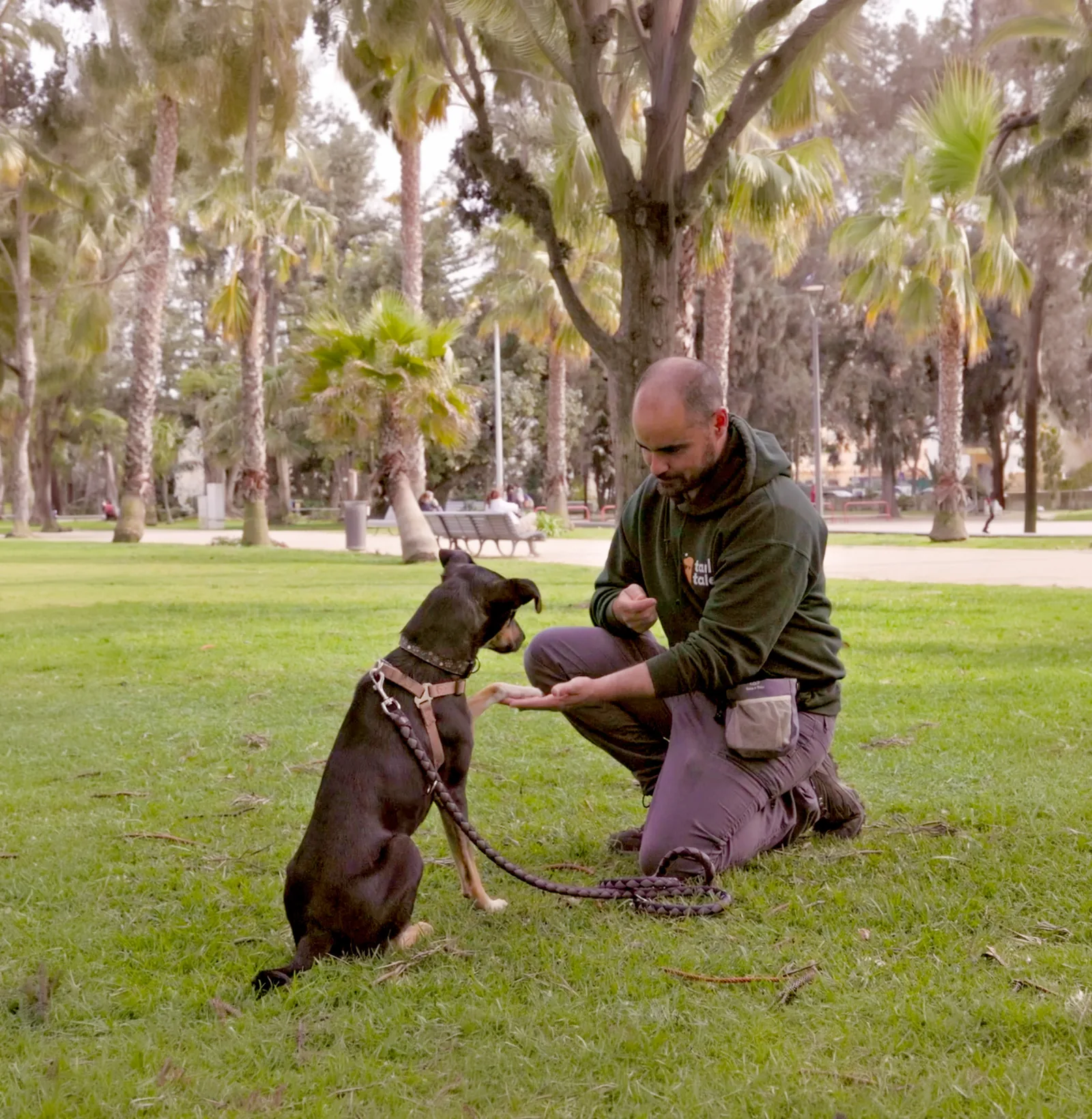 Trainer rewarding a dog during outdoor training