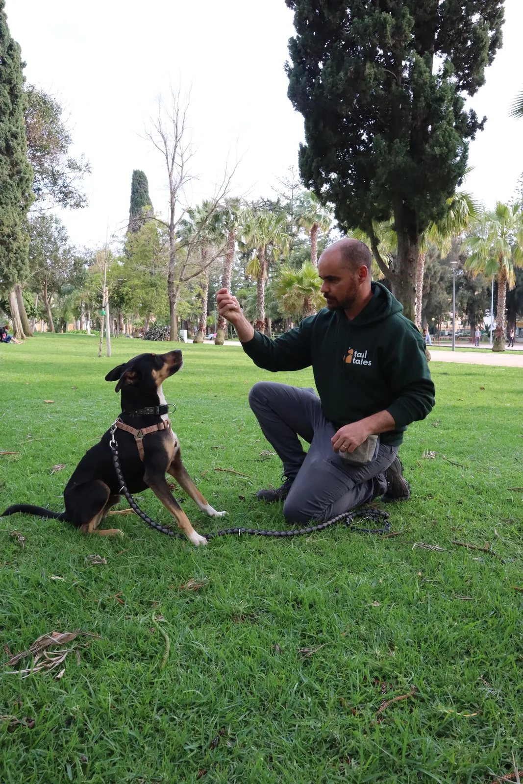 Carlos kneeling in the park, giving Sushi a hand signal while she sits and watches him