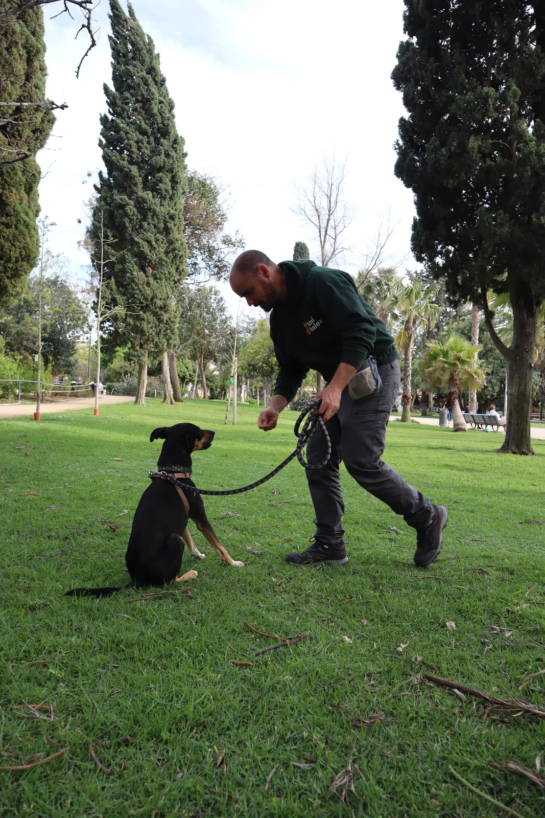 Carlos stepping sideways while Sushi holds a sit on the lead, watching him