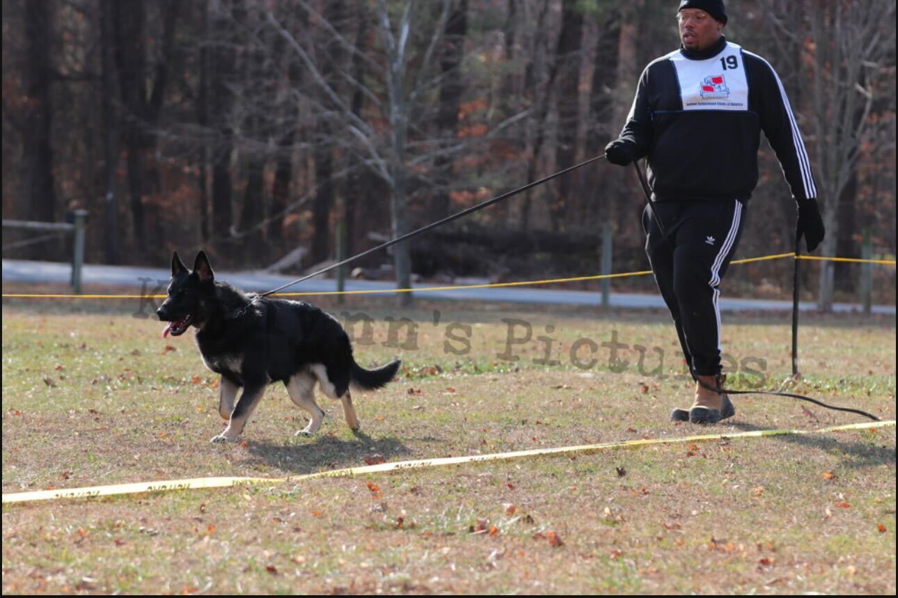 trainer image